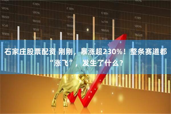 石家庄股票配资 刚刚，暴涨超230%！整条赛道都“涨飞”，发生了什么？